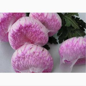 Red de Protección para Flores de Peonía y Crisantemo, Malla de Nailon de Alta Elasticidad para Dar Forma a los Capullos de Rosa - Product Image 6