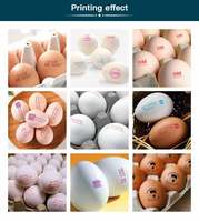 Impresora de Huevos con Control por Aplicación Móvil PG1, Máquina Inalámbrica de Codificación de Huevos con Wi-Fi para Imprimir Logotipos, Fechas y Códigos QR en Huevos de Gallina y Pato