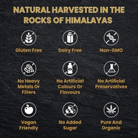 Résine de Shilajit Pur de l'Himalaya Rainwood Supply OEM, 10% d'Acide Fulvique Liquide