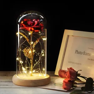 영원한 꽃 조명 미녀와 야수 장미 크리스마스 판지 상자 부활절 10pcs 470g 돔에서 LED 매혹적인 갤럭시 장미