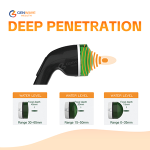 Unit terapi Shockwave terfokus VET EMFOCUS untuk meriam Fetlock lutut dan P2-P3 perawatan Osteoarthritis di Hewan - Product Image 2