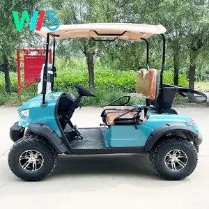 Fancy Lithium Battery Body Kit Tow bar Electric Dc Brushless Electric Buggy Wheel Motor per scooter elettrici Golf Cart