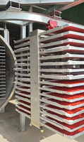 Vriesdroogmachine voor snoep, fruit, groenten en dehydratatie