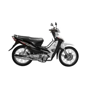 Die neue Auflistung Schwarz Weiß 100cc Gas Cooler Scooter YFY110-3 Fast Leisure Motocross Moto