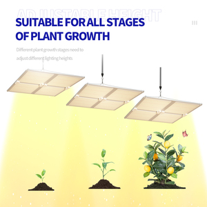 <span class=keywords><strong>Lampe</strong></span> <span class=keywords><strong>horticole</strong></span> de <span class=keywords><strong>croissance</strong></span> <span class=keywords><strong>LED</strong></span>, 3x3 pieds, spectre complet, éclairage pour culture intérieure de plantes végétation/<span class=keywords><strong>floraison</strong></span> - Product Image 6