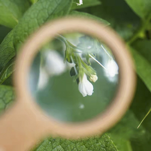 लकड़ी के हाथ में ताल बच्चों खिलौना आवर्धक कांच - Product Image 4