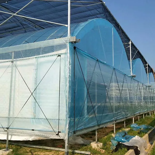 Casa verde de tomate de baixo custo, irrigação agricultura doméstica/hidroponia