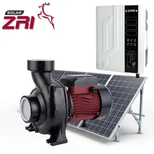 ZRI MPPT Controller Oberflächen pumpe Solar pumpe Wasserpumpe 12V mit Panel komplett