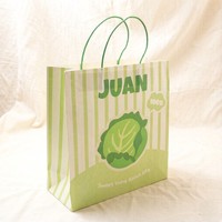 Sac en papier kraft rayé vert et blanc écologique avec poignées en corde de papier robustes entièrement personnalisable pour la vente au détail et les cadeaux