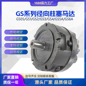 มอเตอร์ไฮดรอลิกแบบลูกสูบเรเดียล Gs Radial Piston Hydraulic Motor รุ่น Gs05 Gs1 Gs2 ความเร็วสูง แรงบิดสูง สำหรับใช้งานในอุตสาหกรรม - Product Image 5