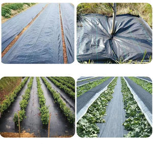 แผ่นคลุมกำจัดวัชพืชผ้ากำจัดฝุ่นแผ่นรองควบคุมหญ้าพลาสติก PP คลุมพื้น - Product Image 6