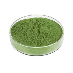 Özelleştirilebilir Toptan Organik Yonca Saponin Tozu <span class=keywords><strong>Medicago</strong></span> <span class=keywords><strong>Sativa</strong></span> Ekstresi %5 Sağlık Ürünleri Varil Sağlık Gıda Sınıfı - Product Image 2