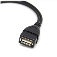Kabel adaptor OTG mikro 2 in 1, dengan catu daya USB kabel OTG mikro USB kabel adaptor untuk stik TV api