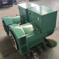 Générateur sans balais YTW triphasé 30 kW 37,5 kVA, prix promotionnel avec générateur PMG AVR.