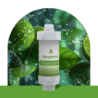 Filtre de douche infusé à la vitamine C Portable Installation facile Ioniseur de charbon actif pour les soins de la peau Manuel de nettoyage du visage