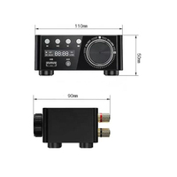 HIFI BT5.0 Güçlü CB01 Mini Amfi Amplifikatör U-disk TF Kart Oynatma Stereo Güç Amplifikatörü BT için