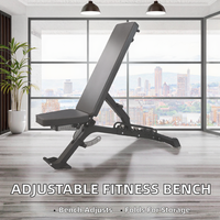 Chaise de fitness multifonctionnelle commerciale pliable en acier inoxydable, réglable, pour haltères, banc de musculation et support pour sit-ups, portable pour la maison