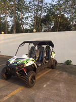Véhicule utilitaire agricole UTV 300CC 4 temps en promotion, logo personnalisé disponible, moteur UTV 300cc