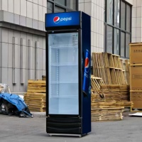 Réfrigérateur Vitré Simple Porte pour Vente en Gros, Refroidissement par Air et Compresseur, Réfrigérateur à Boissons pour Usage Commercial