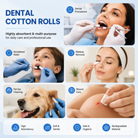 Rouleaux dentaires en coton blanchi sans chlore, taille 4, 15 mm, pour la dentisterie restauratrice et le traitement endodontique, exportateur en gros