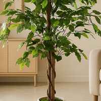 Arbre artificiel Ficus Benjamin