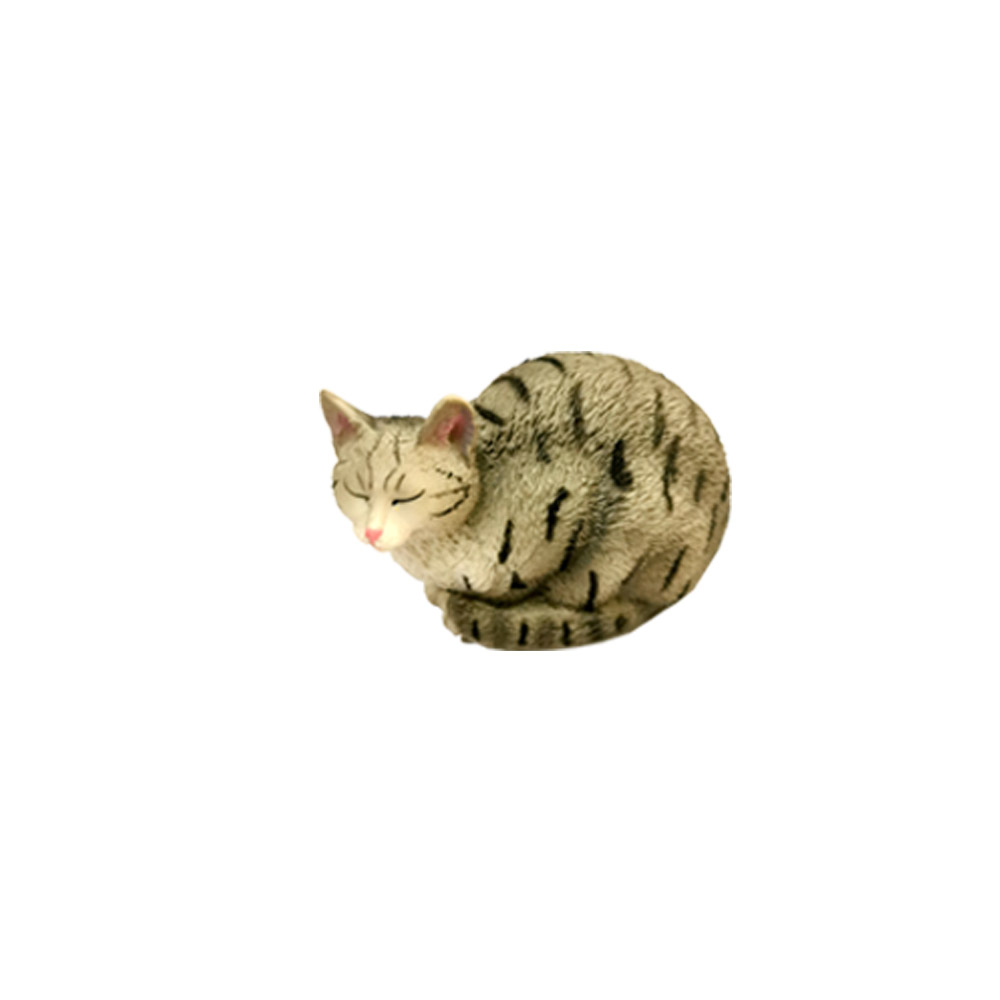 รหัสสินค้า: SL342480