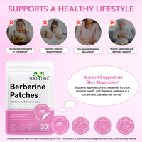 Parches de Berberina SOLOTREE OEM/ODM con Canela y Vitaminas del Grupo B para Control del Apetito, Apoyo al Metabolismo y Salud Inmunológica - 30 Parches/Bolsa