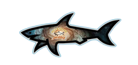 Autocollant Personnalisé 3D Paul Shark Logo Imperméable Décoratif Dessin Animé 2026, Autocollant d'Inventaire en Gros