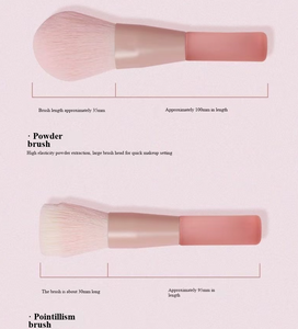 Lot de 10 mini-pinceaux de maquillage portables en gros – Applicateur d'ombre à paupières, pinceau à blush, pinceau à fond de teint, outils de beauté faciale - Product Image 2