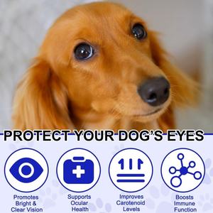 Preço de Atacado: Pó para Prevenção de Manchas Lacrimais, Cuidados e Suplementos para Saúde Animal, Vitaminas para Cães para a Saúde Ocular de Animais de Estimação - Product Image 3