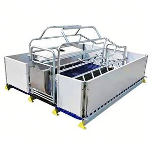 Enclos de mise bas pour porcs réglable avec un nettoyage facile pour enclos de gestation pour porcs dans divers scénarios - Product Image 5