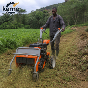 Désherbeuse manuelle agricole, motoculteur diesel et essence, cultivateur de jardin avec largeur de travail de 40-80 cm, 2 rangs - Product Image 1