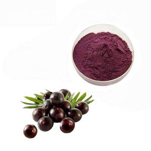 Pabrik Grosir Blushwood Berry Ekstrak/Blushwood Berry/Blushwood Berry - Product Image 1