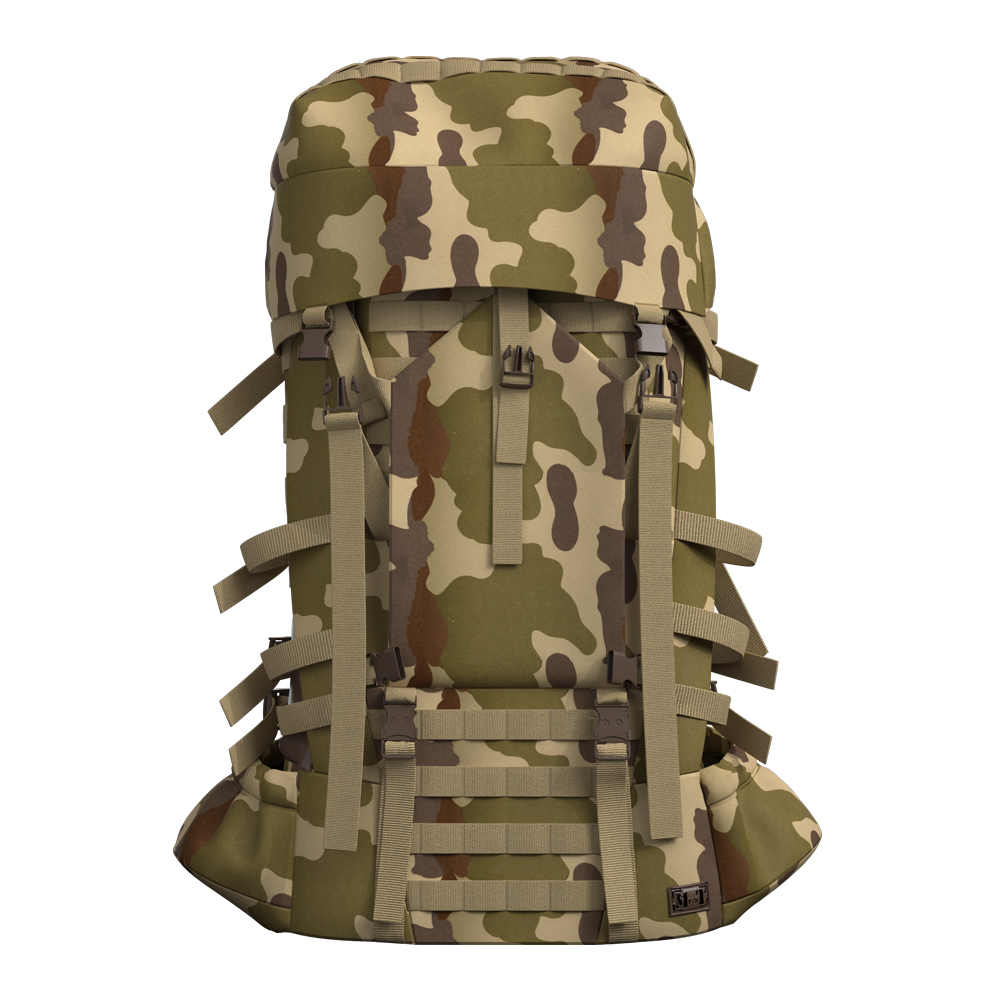 Camouflage français