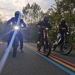 CS20 72V 12000W Potente bicicleta eléctrica Motor Bike con alta velocidad 120 km/h Ebike - Product Image 1