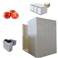 Fabricant fiable de petites chambres froides - Système de refroidissement économe en énergie pour la viande, les fruits et les légumes