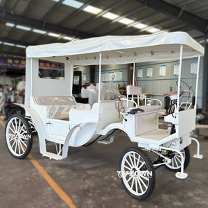Carruaje de Caballos Vintage Personalizado de 2 Filas, Carrozas Turísticas de Diseño Personalizado, Carruaje Eléctrico Tirado por Caballos - Product Image 2
