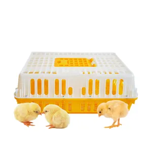 Foldable Baterry 플라스틱 집 쇼 현대 가금류 농장 동물 옥외 황색 오리 층, 육계 닭 감금소 상자 수송