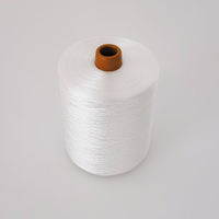 Fil de soie de broderie de filament de viscose de haute qualité 100% 150D/3 blanc brut pour la couture et le tricot