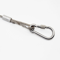 M4-M12 de sécurité robuste 304 316 mousqueton en acier inoxydable forme de gourde vis crochet à ressort argent petit crochet en métal