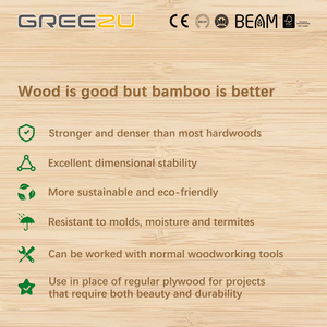Legno <span class=keywords><strong>di</strong></span> bambù ecologico legno marino/contenitore <span class=keywords><strong>compensato</strong></span> FSC foglio <span class=keywords><strong>di</strong></span> bambù <span class=keywords><strong>compensato</strong></span> <span class=keywords><strong>3</strong></span> <span class=keywords><strong>mm</strong></span> croce laminato 4x8 bambù <span class=keywords><strong>compensato</strong></span> legname - Product Image 6