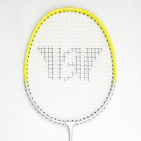 Raquettes de badminton personnalisées en aluminium + acier trempé avec joint en T, raquettes de badminton pour débutants, sports de plein air, prix bas