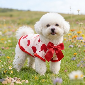 Pet Clothes Heart Print <b>T</b>-Shirt For Small Medium Dogs <b>Cats</b> Four Seasons Polyester Dress - Product Image 2