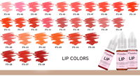 Poudre de maquillage permanent CE REACH conforme aux normes UE pour microblading des sourcils, repigmentation des lèvres, encre de tatouage pour sourcils, pigment hybride PMU