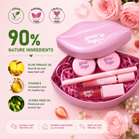 Produits de maquillage personnalisés, kits de gloss à lèvres à étiquette privée, maquillage pour les lèvres imperméable pour filles, kit de gloss à lèvres, kit de rouge à lèvres