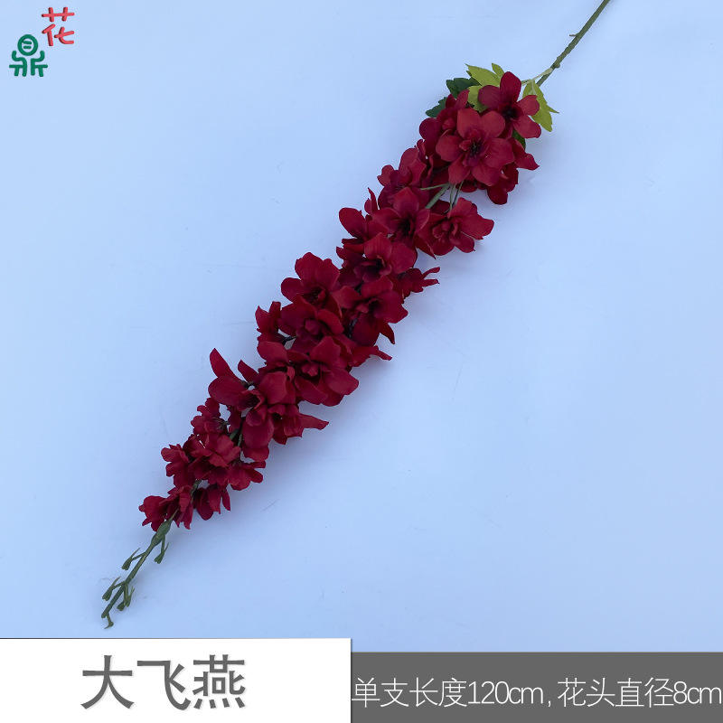 นกนางแอ่นบินขนาดใหญ่สีแดง ycy