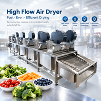 Sécheur d'air industriel à haut débit pour légumes, fruits, transformation alimentaire, système de séchage par convoyeur, fabricant en acier inoxydable