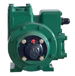 Bomba de Paletas Deslizantes de Alta Eficiencia 5 bar 4 kW para Transferencia de Aceite - Product Image 2