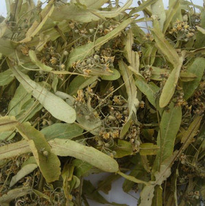 Thé de <span class=keywords><strong>tilleul</strong></span> chinois <span class=keywords><strong>en</strong></span> vrac, feuilles de <span class=keywords><strong>tilleul</strong></span> séchées à prix avantageux - Product Image 2