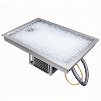 Table de préparation pour la restauration commerciale, plan de travail réfrigéré en acier inoxydable avec plateau froid
